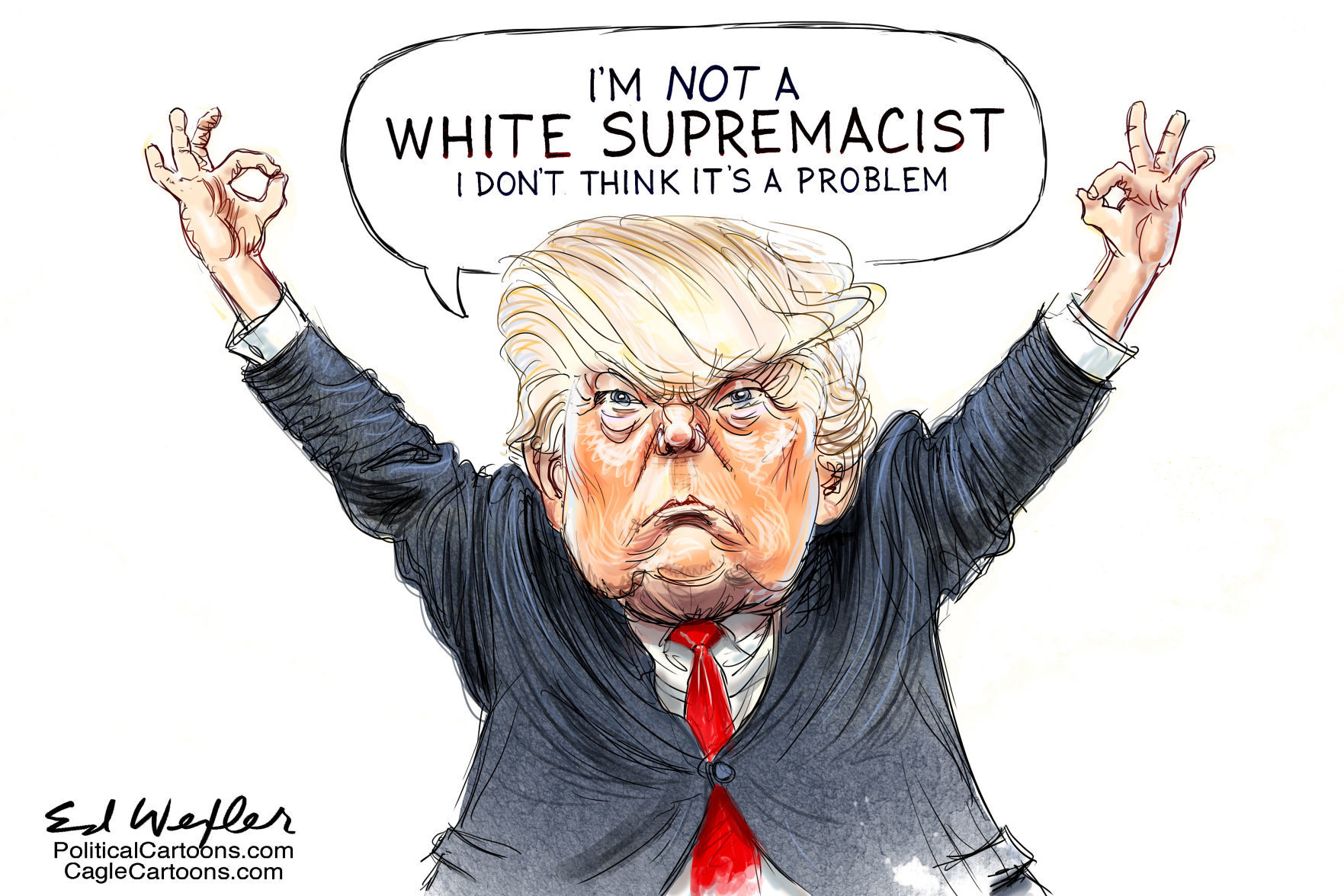 Not A White Supremacist by Ed Wexler, PoliticalCartoons.com